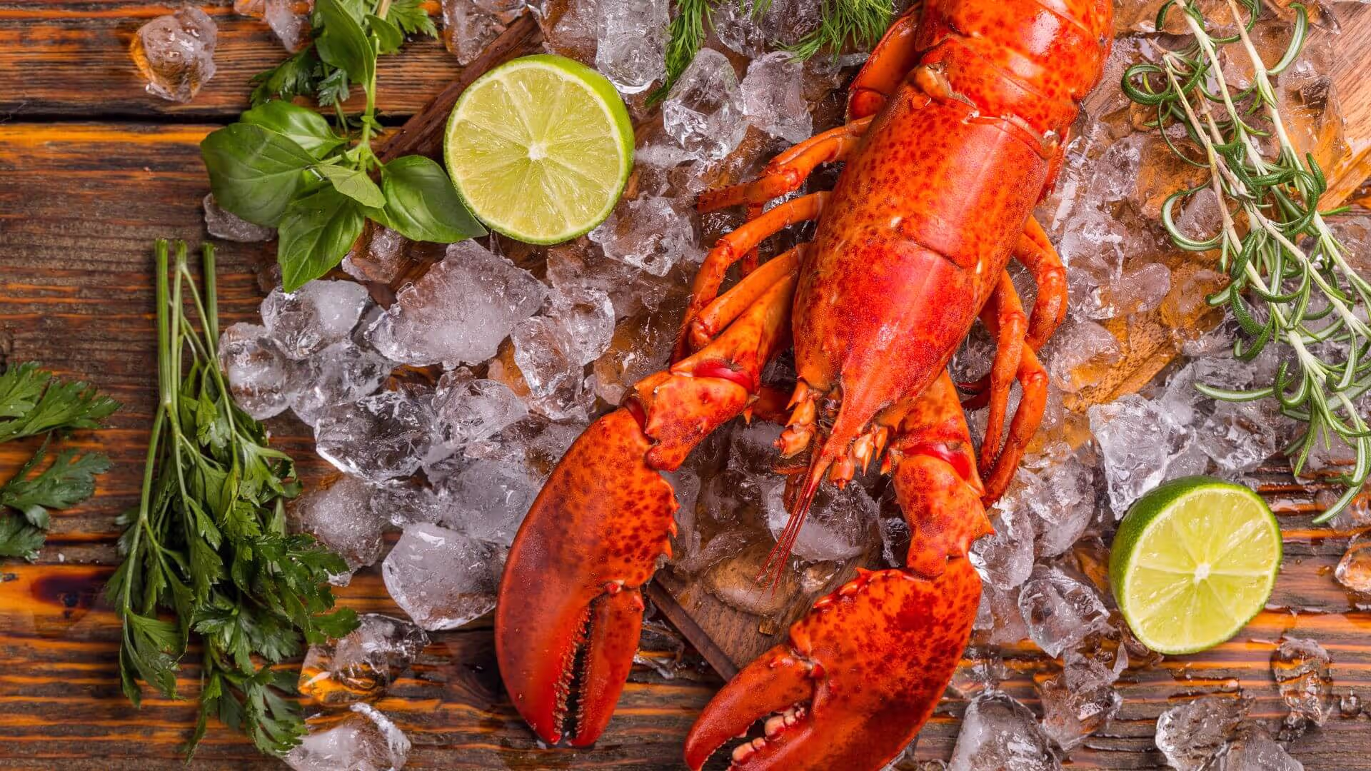 Cooked lobster on ice with lime halves, parsley, and rosemary on a wooden surface.
